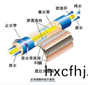 101648100.jpg RO.jpg