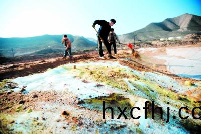 102858589.jpg gendiwuran0130.jpg